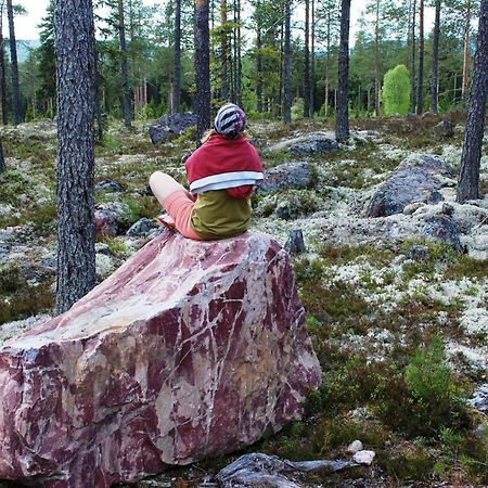 16 - Fulufjellets Nasjonalparker - Natur-, Dyre- Og Fugleopplevelser Ljordal Bagian luar foto