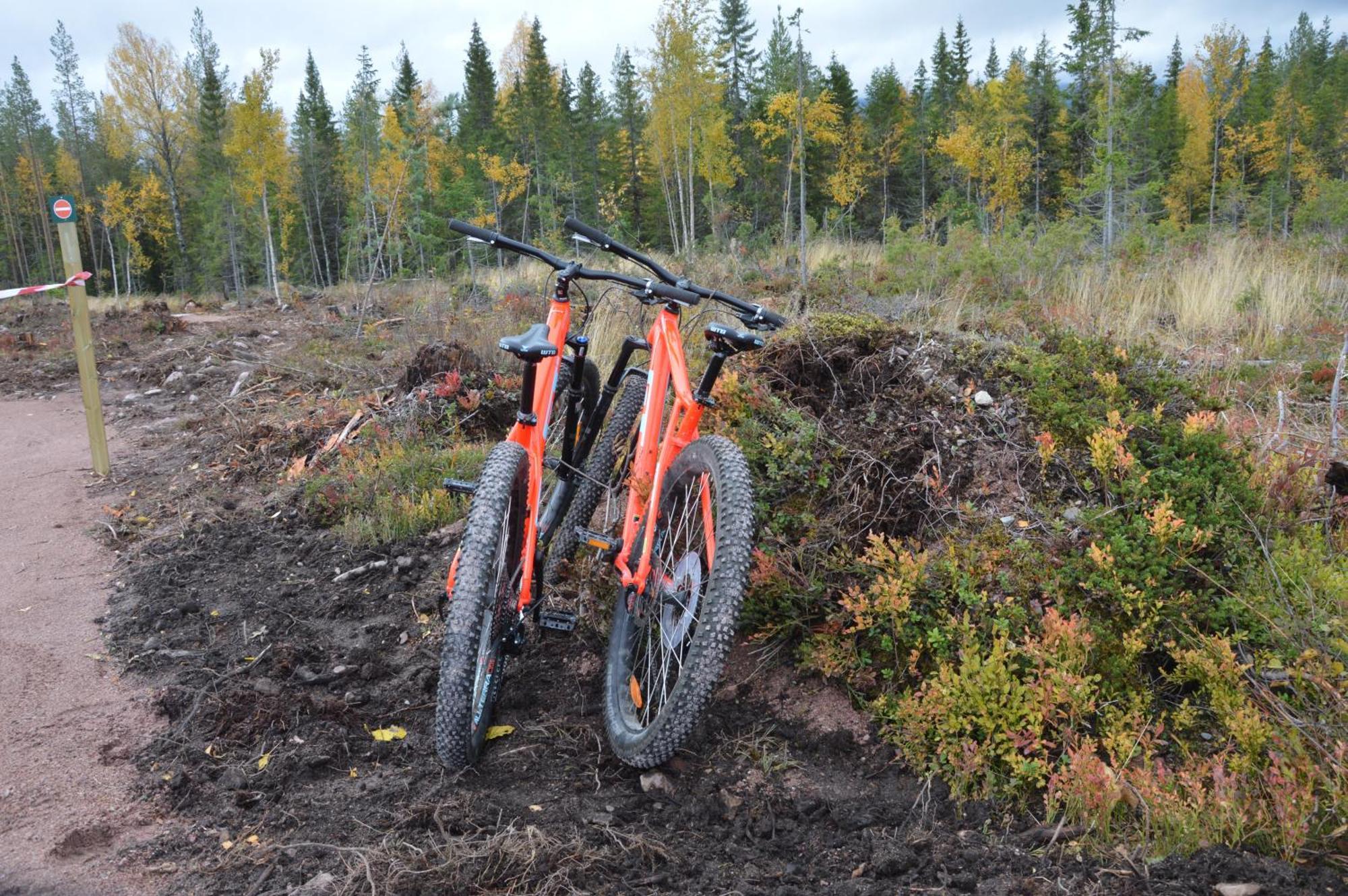 16 - Fulufjellets Nasjonalparker - Natur-, Dyre- Og Fugleopplevelser Ljordal Bagian luar foto