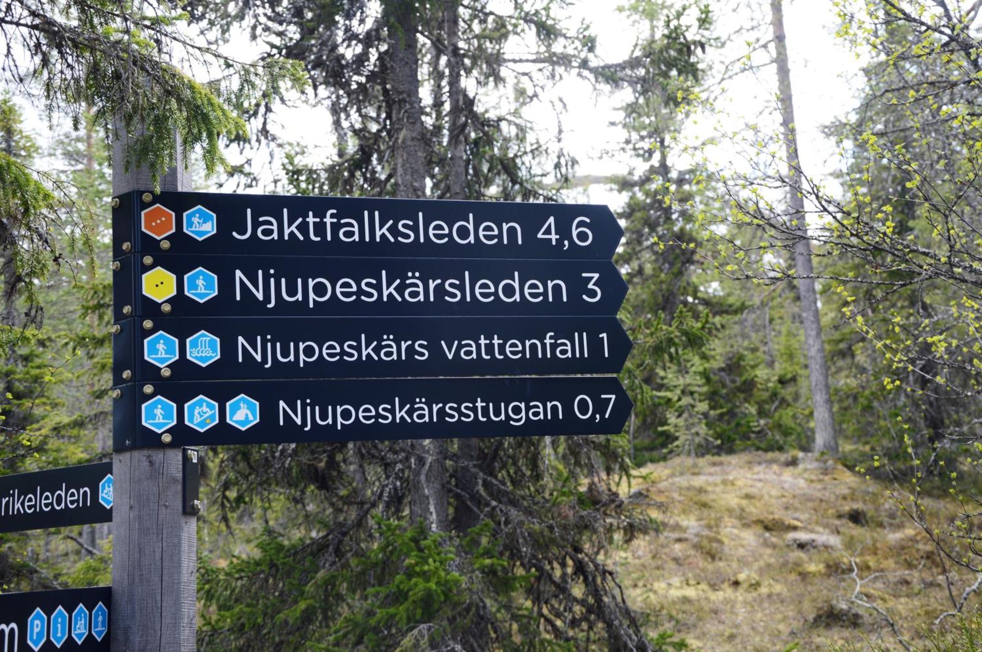 16 - Fulufjellets Nasjonalparker - Natur-, Dyre- Og Fugleopplevelser Ljordal Bagian luar foto