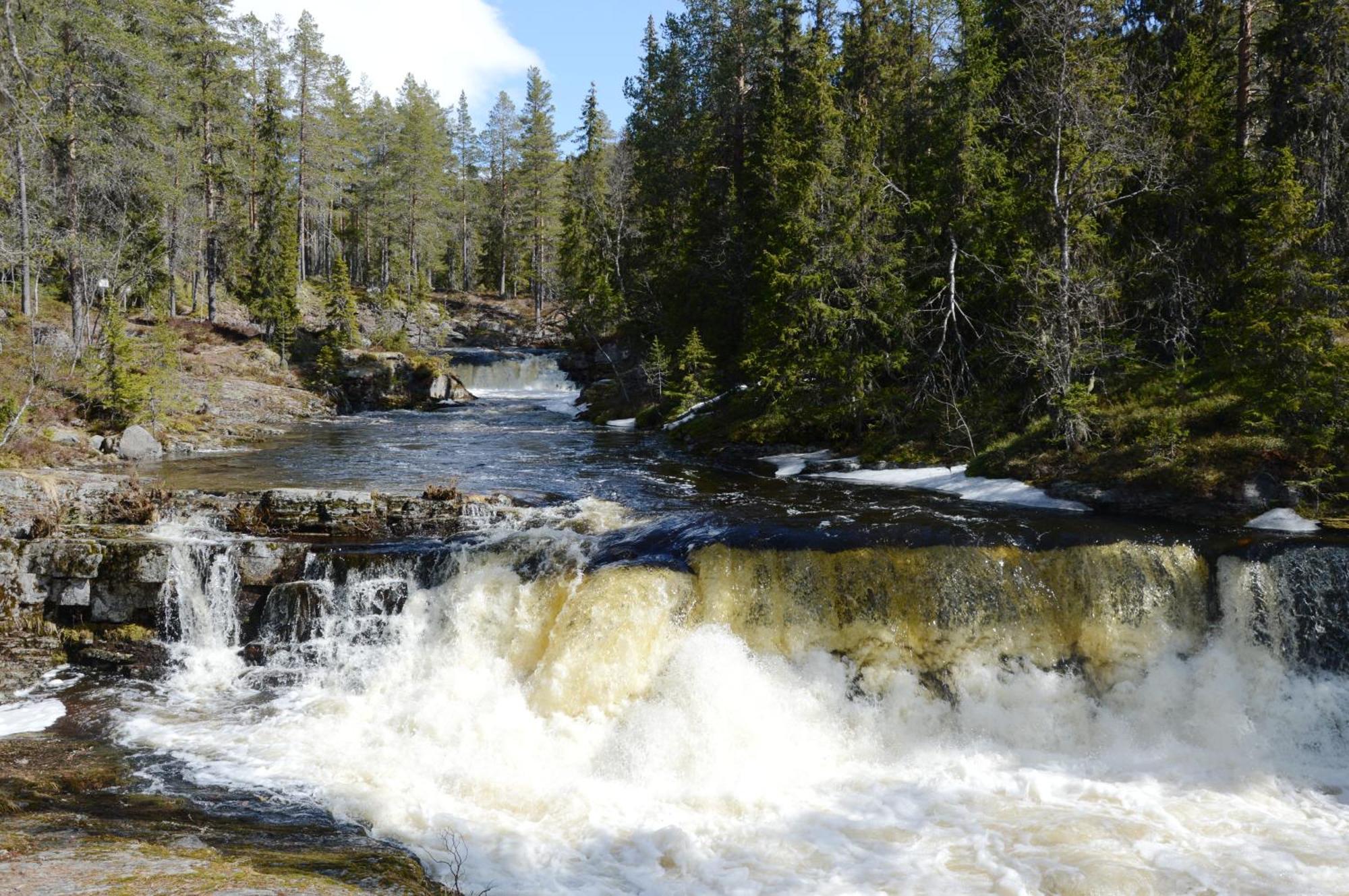 16 - Fulufjellets Nasjonalparker - Natur-, Dyre- Og Fugleopplevelser Ljordal Bagian luar foto