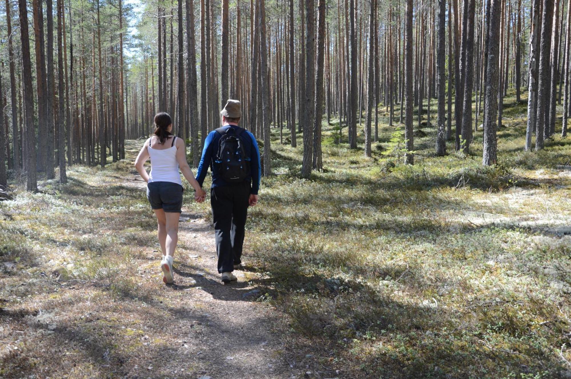 16 - Fulufjellets Nasjonalparker - Natur-, Dyre- Og Fugleopplevelser Ljordal Bagian luar foto