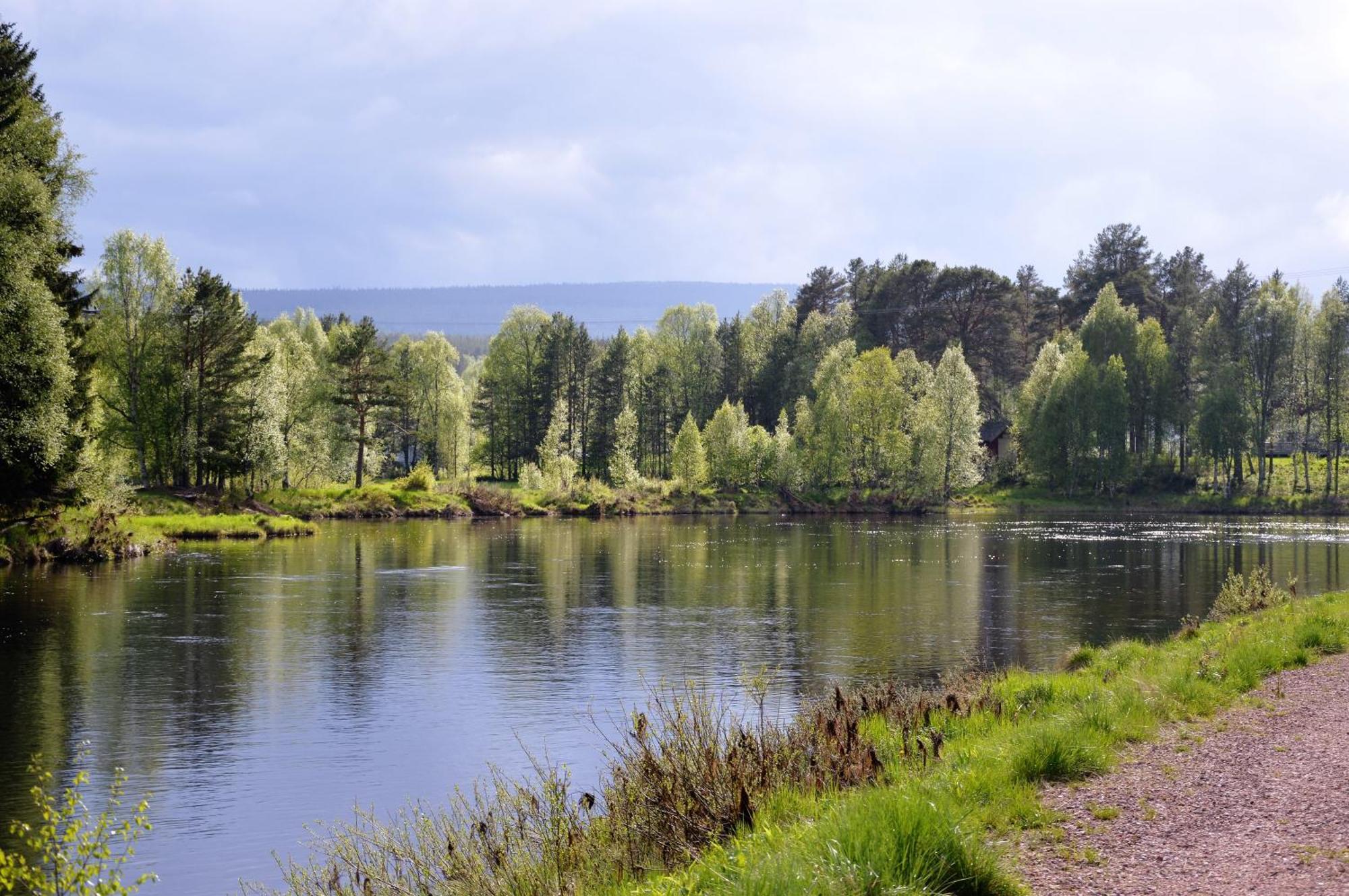 16 - Fulufjellets Nasjonalparker - Natur-, Dyre- Og Fugleopplevelser Ljordal Bagian luar foto
