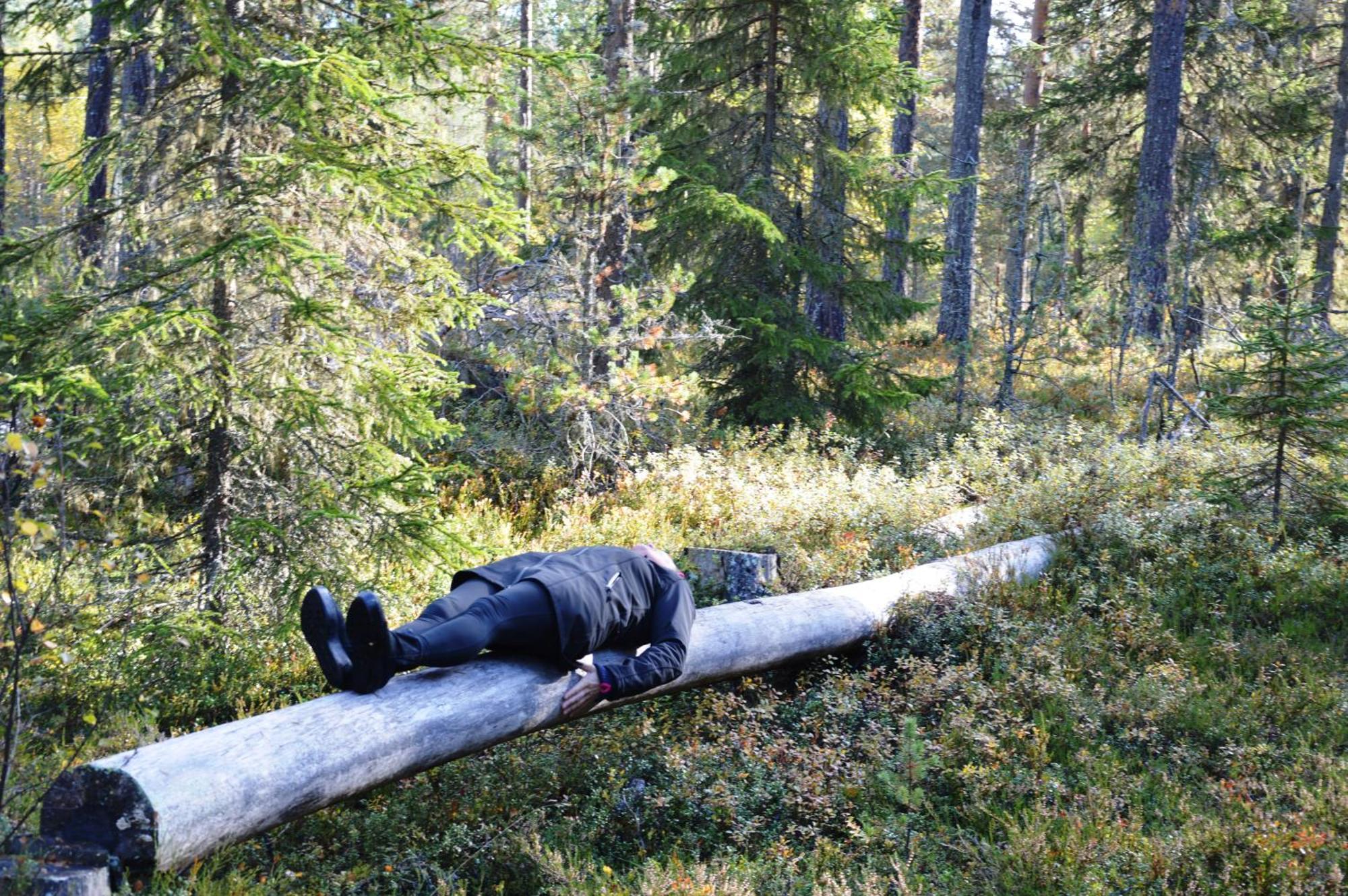 16 - Fulufjellets Nasjonalparker - Natur-, Dyre- Og Fugleopplevelser Ljordal Bagian luar foto