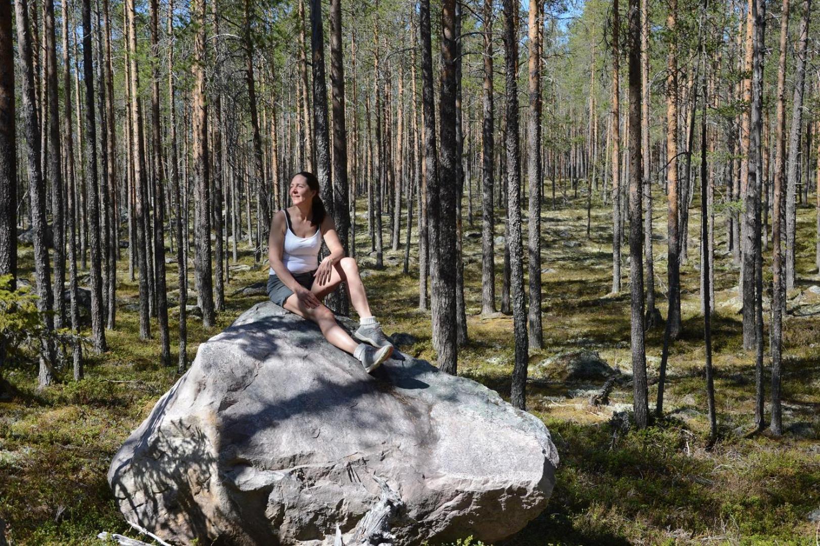 16 - Fulufjellets Nasjonalparker - Natur-, Dyre- Og Fugleopplevelser Ljordal Bagian luar foto