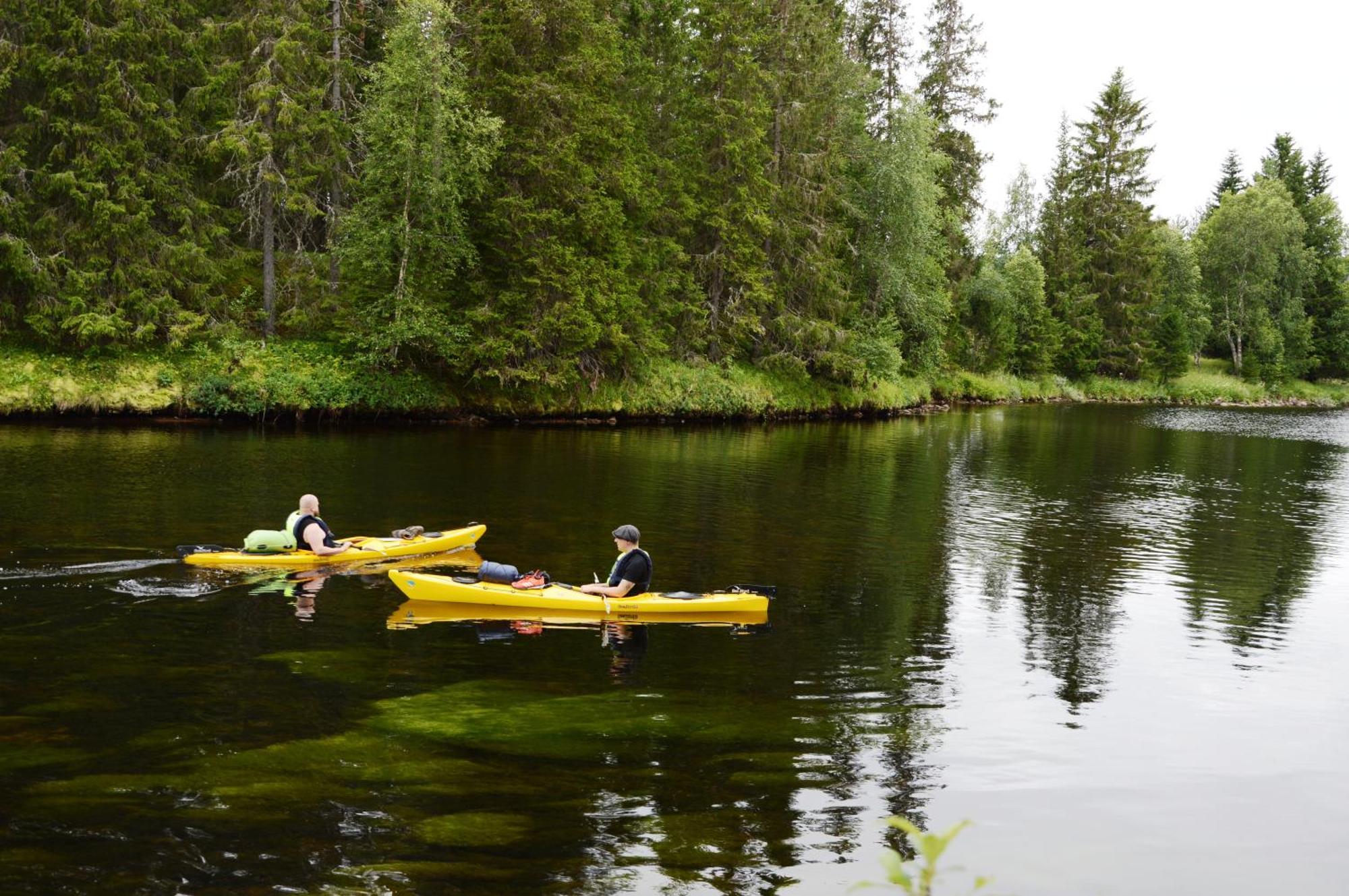 16 - Fulufjellets Nasjonalparker - Natur-, Dyre- Og Fugleopplevelser Ljordal Bagian luar foto