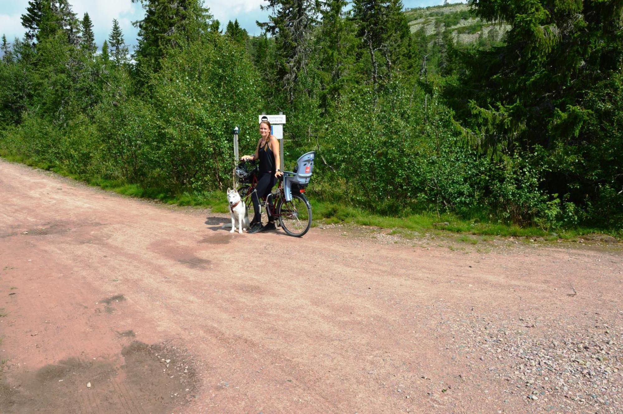 16 - Fulufjellets Nasjonalparker - Natur-, Dyre- Og Fugleopplevelser Ljordal Bagian luar foto