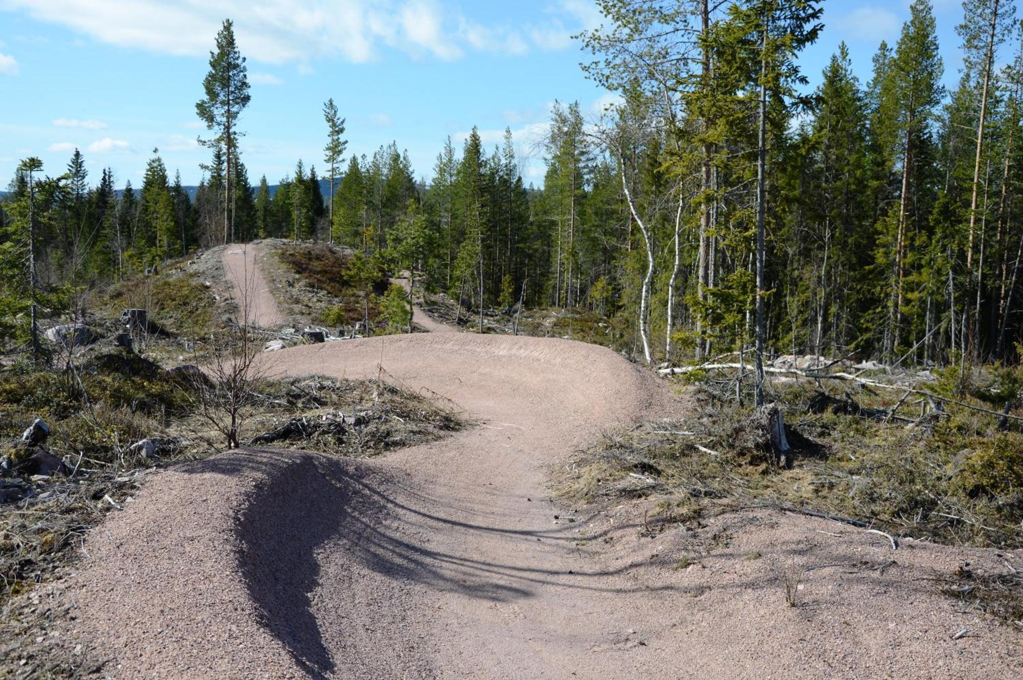 16 - Fulufjellets Nasjonalparker - Natur-, Dyre- Og Fugleopplevelser Ljordal Bagian luar foto