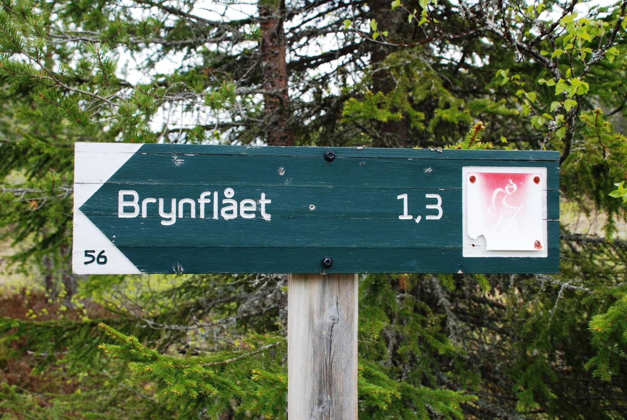 16 - Fulufjellets Nasjonalparker - Natur-, Dyre- Og Fugleopplevelser Ljordal Bagian luar foto