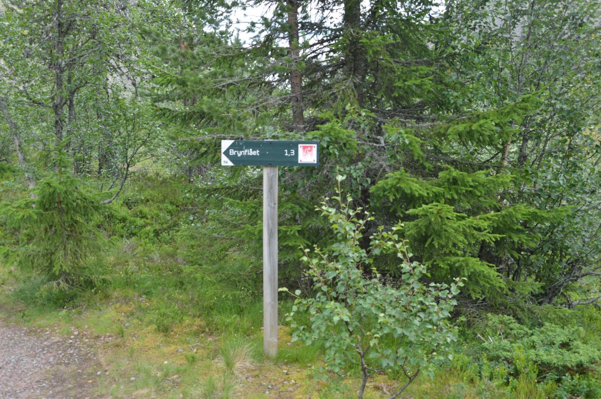 16 - Fulufjellets Nasjonalparker - Natur-, Dyre- Og Fugleopplevelser Ljordal Bagian luar foto