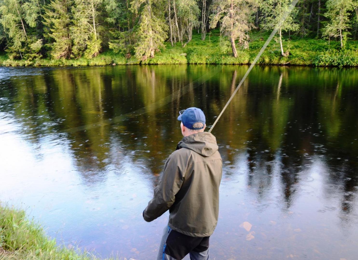 16 - Fulufjellets Nasjonalparker - Natur-, Dyre- Og Fugleopplevelser Ljordal Bagian luar foto