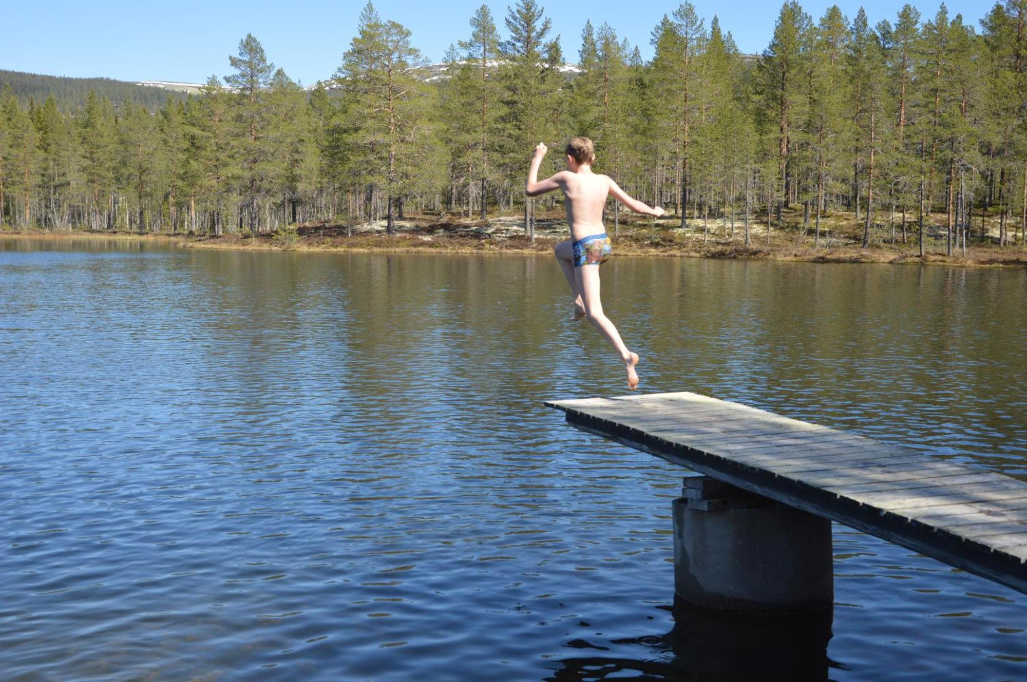 16 - Fulufjellets Nasjonalparker - Natur-, Dyre- Og Fugleopplevelser Ljordal Bagian luar foto