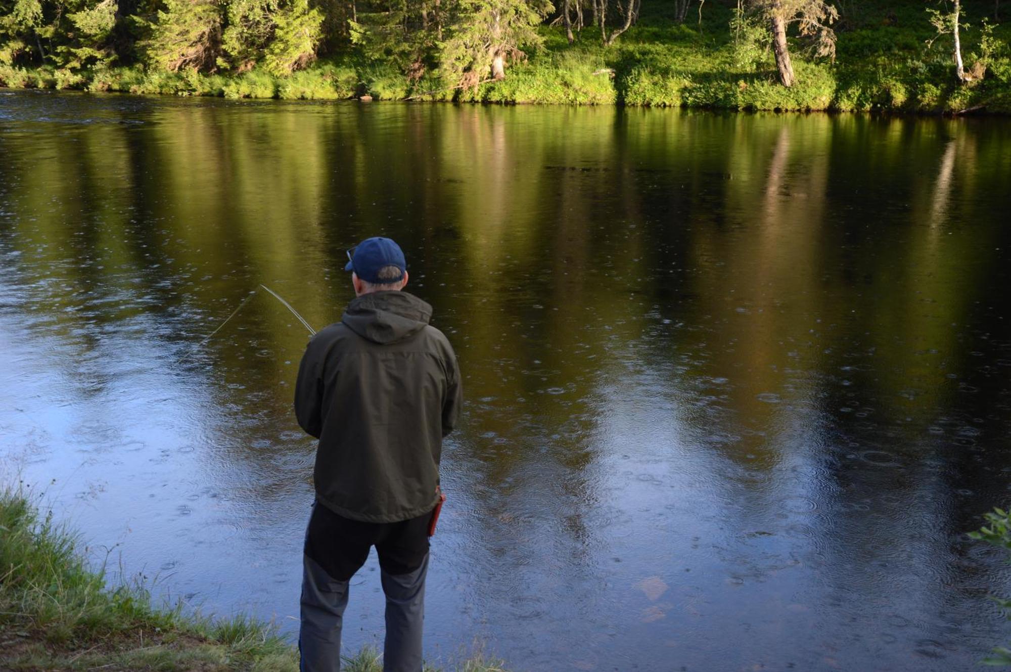 16 - Fulufjellets Nasjonalparker - Natur-, Dyre- Og Fugleopplevelser Ljordal Bagian luar foto