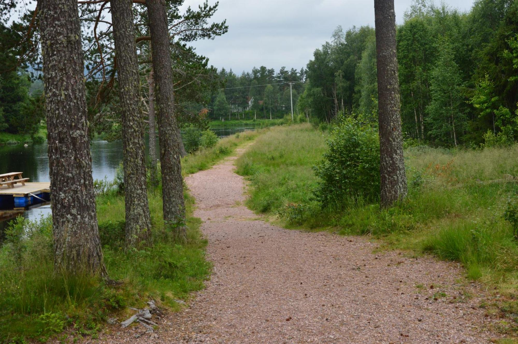 16 - Fulufjellets Nasjonalparker - Natur-, Dyre- Og Fugleopplevelser Ljordal Bagian luar foto
