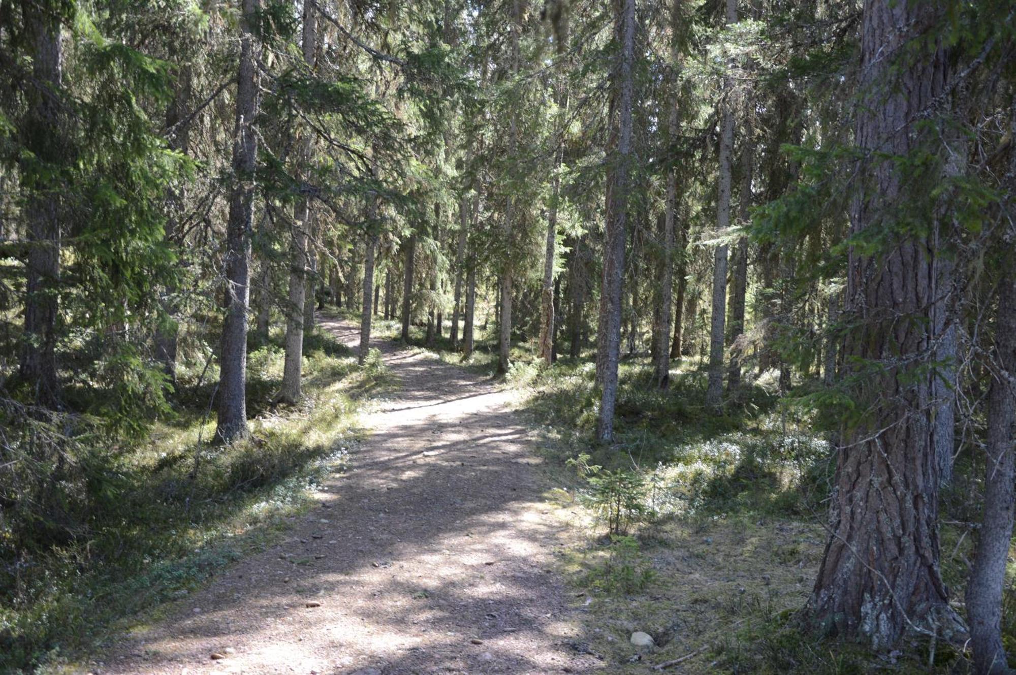 16 - Fulufjellets Nasjonalparker - Natur-, Dyre- Og Fugleopplevelser Ljordal Bagian luar foto