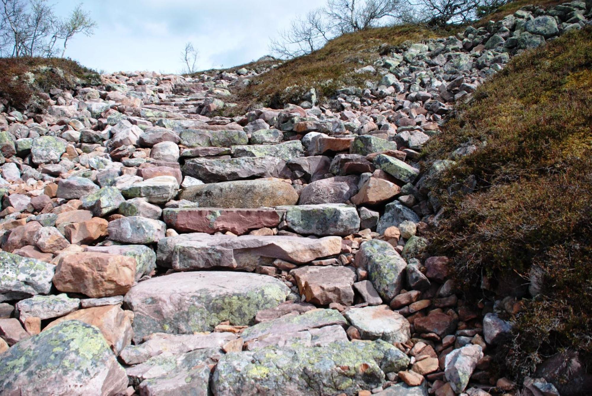16 - Fulufjellets Nasjonalparker - Natur-, Dyre- Og Fugleopplevelser Ljordal Bagian luar foto