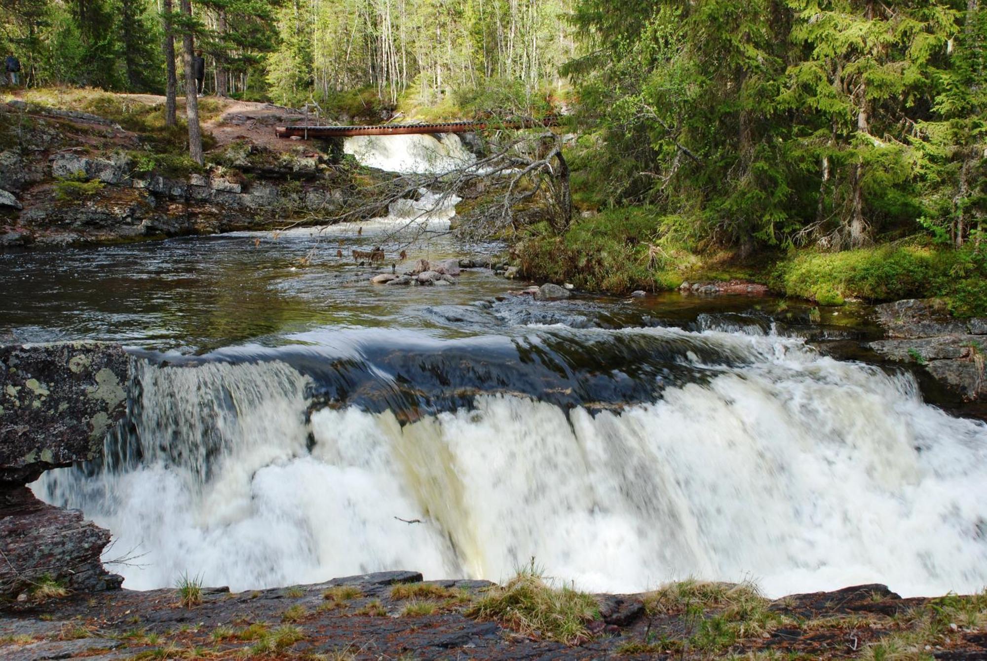 16 - Fulufjellets Nasjonalparker - Natur-, Dyre- Og Fugleopplevelser Ljordal Bagian luar foto
