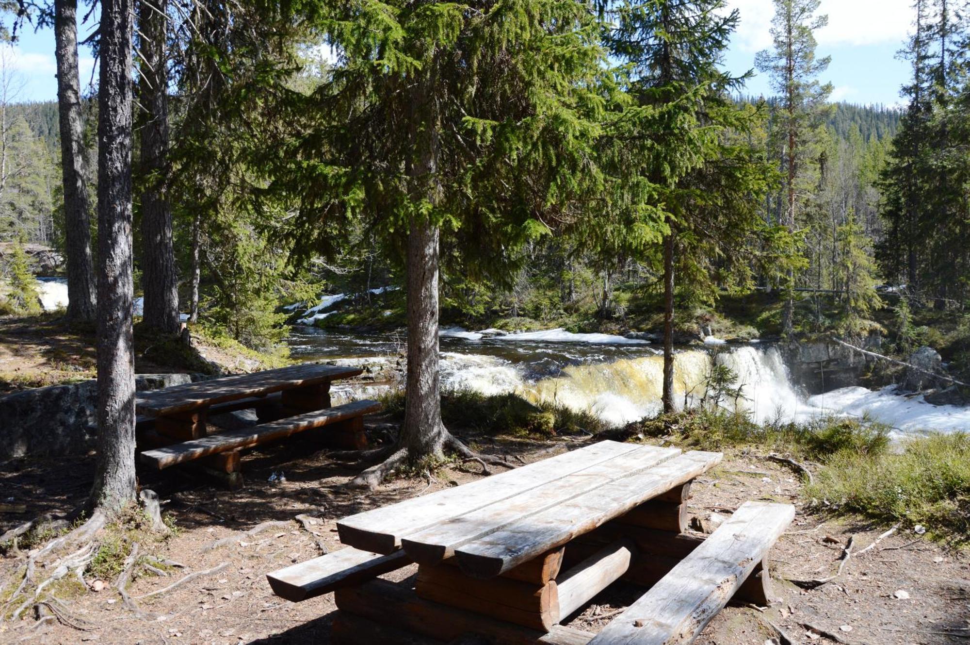 16 - Fulufjellets Nasjonalparker - Natur-, Dyre- Og Fugleopplevelser Ljordal Bagian luar foto
