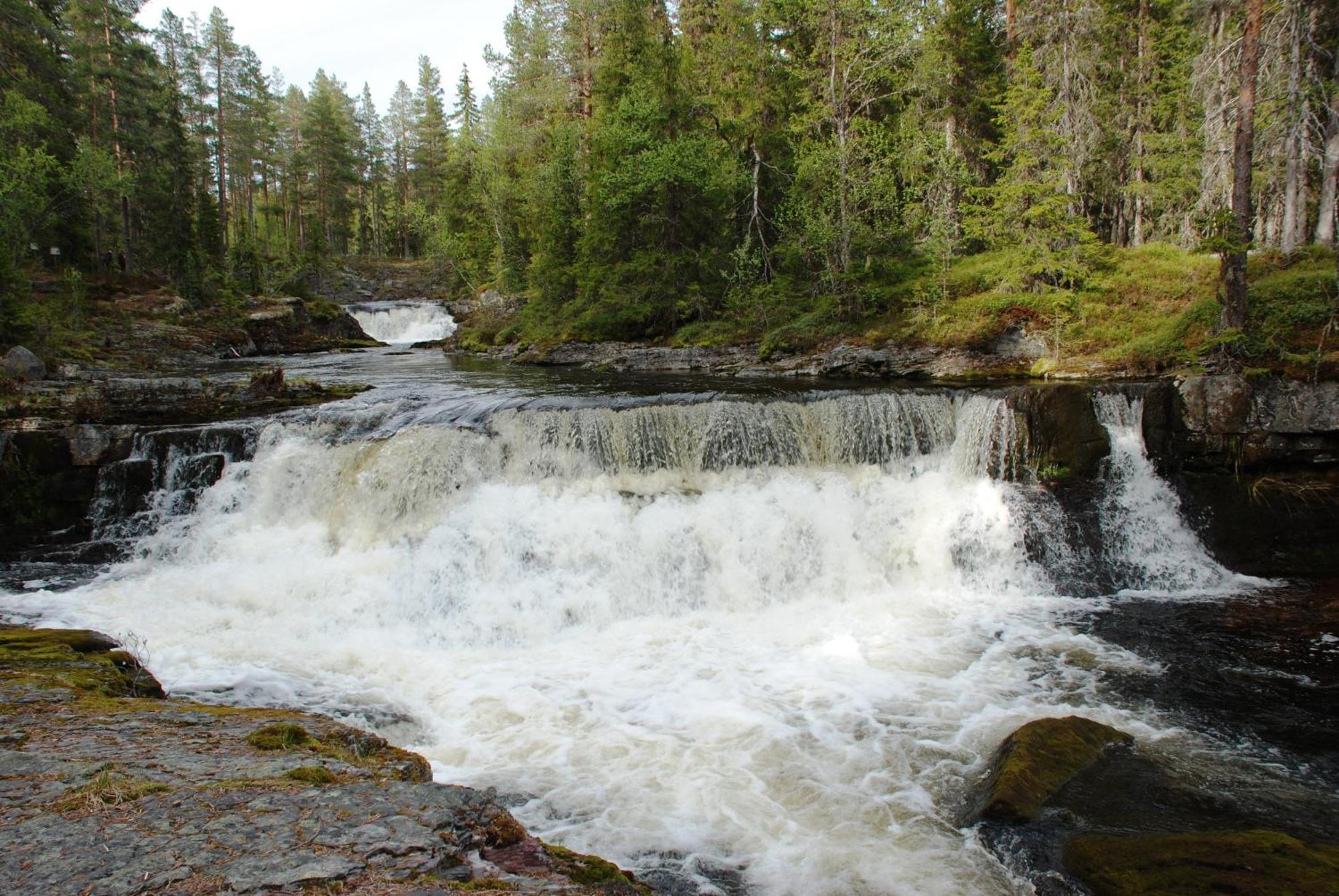 16 - Fulufjellets Nasjonalparker - Natur-, Dyre- Og Fugleopplevelser Ljordal Bagian luar foto