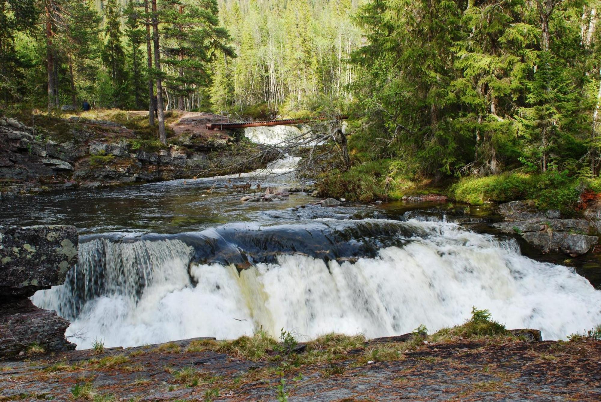 16 - Fulufjellets Nasjonalparker - Natur-, Dyre- Og Fugleopplevelser Ljordal Bagian luar foto