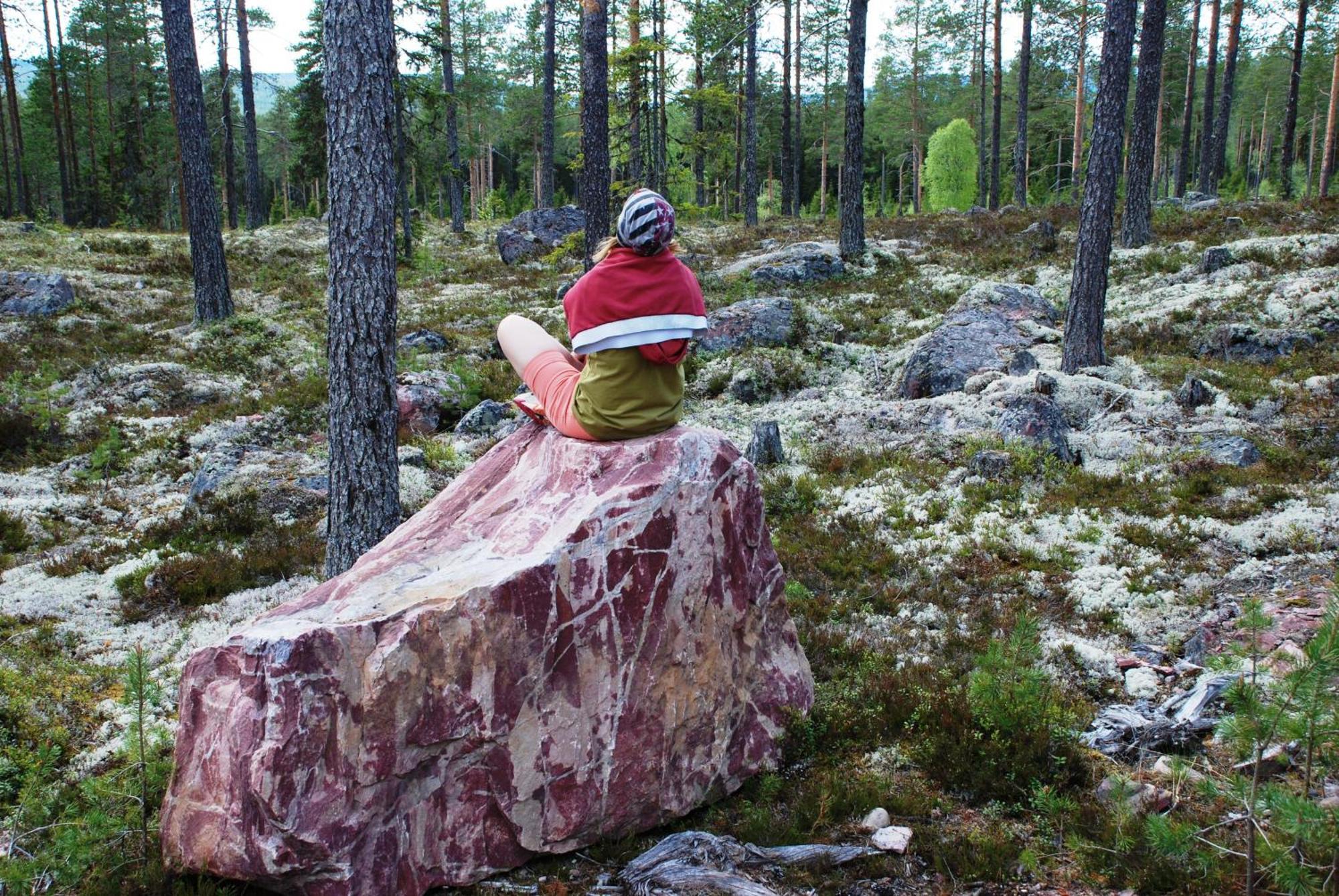 16 - Fulufjellets Nasjonalparker - Natur-, Dyre- Og Fugleopplevelser Ljordal Bagian luar foto